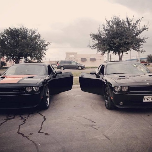 Meet your Posher, Rudy - Picture 1 of 1